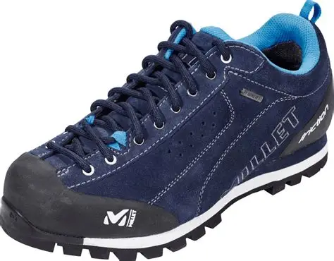 Pantofi Millet Friction GTX Femei