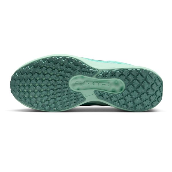 Pantofi alergare Nike Air Winflo 11 Femei