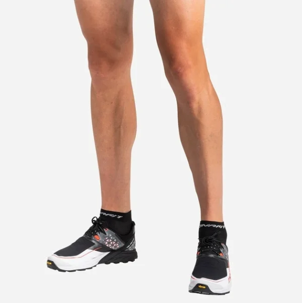 Pantofi de trail running DYNAFIT ALPINE DNA 5 Pantofi de trail running DYNAFIT ALPINE DNA